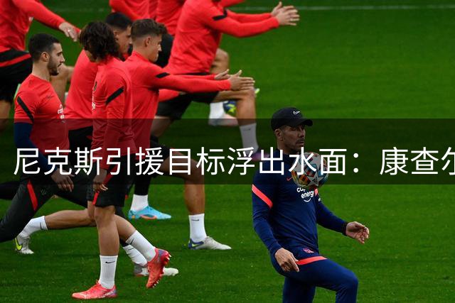 尼克斯引援目标浮出水面：康查尔与尤班克斯成重点考察对象