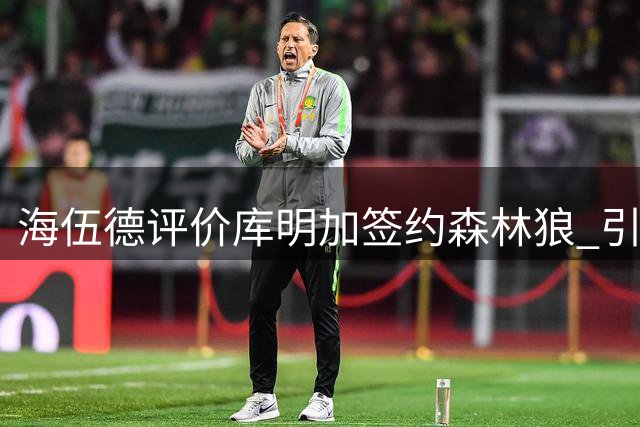 海伍德评价库明加签约森林狼 引施罗德案例警示球员选项风险